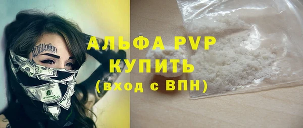 тгк Каменка
