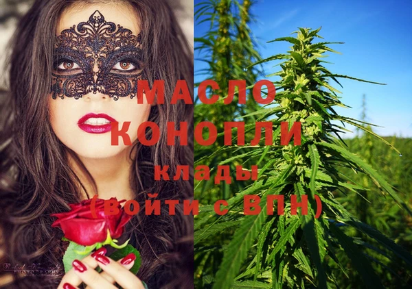 тгк Каменка