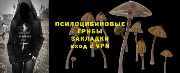 тгк Каменка