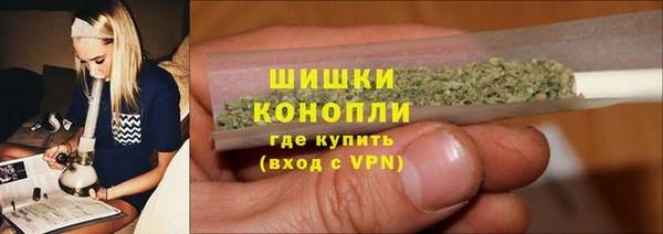 тгк Каменка