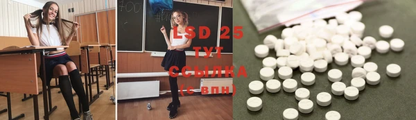 тгк Каменногорск