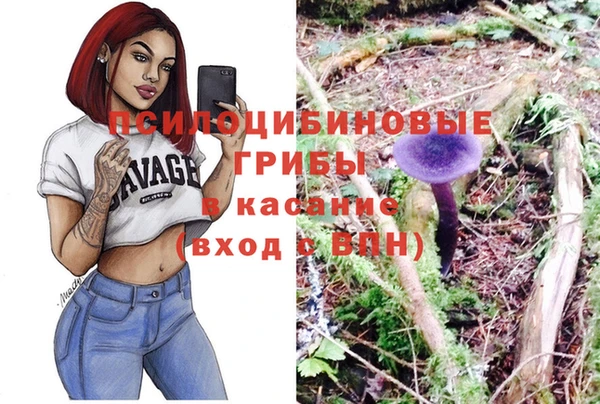 тгк Каменка