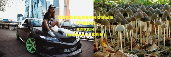 тгк Каменногорск