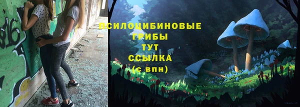 тгк Каменногорск