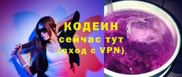 тгк Каменка