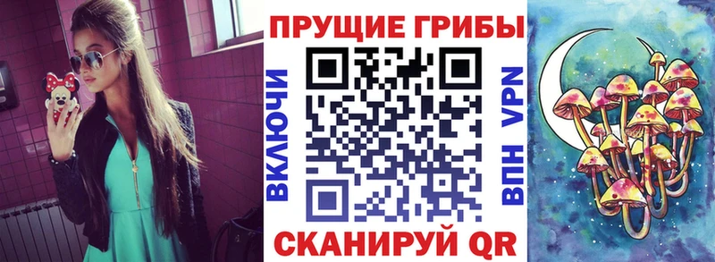 Псилоцибиновые грибы Psilocybe  Купить где  Байкальск 
